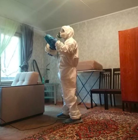 дезинсекция квартиры в Елизово